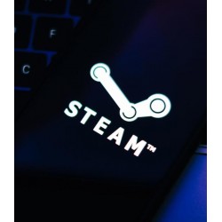 Steam Cüzdan Kodu 250 TL